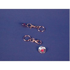 Schlüsselring mit Karabiner und Chip
